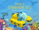 Image for What a Submarine Sees