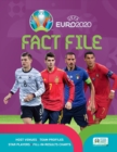 Image for UEFA EURO 2020 Fact File