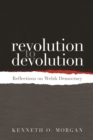 Image for Revolution to devolution: reflections on Welsh democracy