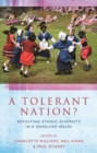Image for A tolerant nation?: revisiting ethnic diversity in a devolved Wales : 53452