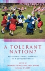 Image for Tolerant Nation?: Revisiting Ethnic Diversity in a Devolved Wales : 53452
