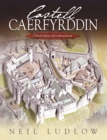 Image for Castell Caerfyrddin: Olrhain Hanes Llywodraethiant