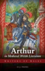 Image for Arthur in Medieval Welsh Literature