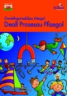 Image for Deall Prosesau Ffisegol : Understanding Physical Processes