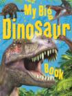 Image for My big dinosaur book