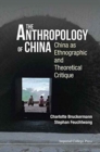 Image for Anthropology Of China, The: China As Ethnographic And Theoretical Critique