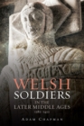 Image for Welsh Soldiers in the Later Middle Ages, 1282-1422