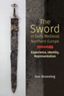 Image for The Sword in Early Medieval Northern Europe