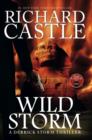 Image for Wild Storm (a Derrick Storm Thriller)