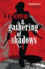 Image for A gathering of shadows