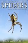 Image for 101 Amazing Facts about Spiders: ...and other arachnids