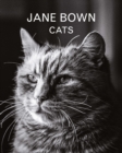 Image for Jane Bown: Cats
