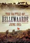 Image for Battle of Bellewaarde, June 1915