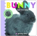 Image for Bunny and friends