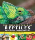 Image for Encyclopedia of Animals - Reptiles