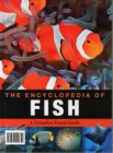 Image for Encyclopedia of Animals Fish