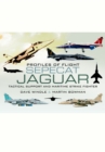 Image for Sepecat Jaguar: tactical support &amp; maritime strike fighter