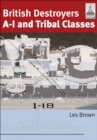 Image for British destroyers: A-I and Tribal classes