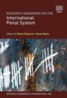Image for Research handbook on the international penal system