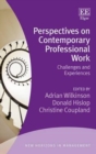 Image for Perspectives on contemporary professional work  : challenges and experiences