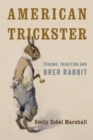 Image for American Trickster: Trauma, Tradition and Brer Rabbit