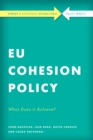 Image for EU cohesion policy in practice: what does it achieve?