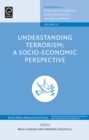 Image for Understanding terrorism: a socio-economic perspective : Volume 22