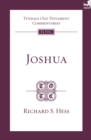 Image for Joshua: an introduction and commentary