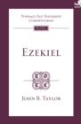 Image for Ezekiel: an introduction and commentary