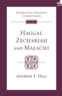 Image for Haggai, Zechariah and Malachi: an introduction and commentary