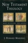 Image for New Testament Theology PB