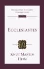 Image for Ecclesiastes: an introduction and commentary