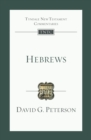 Image for Hebrews: An Introduction And Commentary