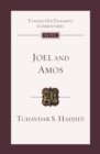 Image for Joel and Amos: An Introduction and Commentary