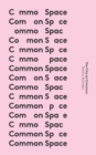 Image for Common Space