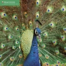 Image for Peacocks Wall Calendar 2015 (Art Calendar)