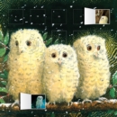 Image for Owl Babies advent calendar (with stickers)