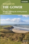 Image for Walking in Gower
