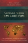 Image for Communal Holiness in the Gospel of John: The Vine Metaphor as a Test Case with Lessons from African Hospitality and Trinitarian Theology