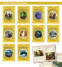 Image for Phonic Books Talisman 2 : Decodable Books for Older Readers (Alternative Vowel and Consonant Sounds, Common Latin Suffixes)