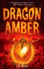 Image for Dragon amber
