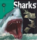 Image for Insiders - Sharks