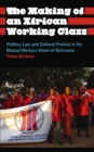 Image for The making of an African working class: politics, law, and cultural protest in the Manual Workers Union of Botswana