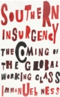 Image for Southern Insurgency: The Coming of the Global Working Class