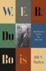 Image for W.E.B. Du Bois : 17