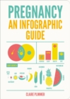 Image for Pregnancy: an infographic guide
