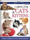 Image for Caring for Cats &amp; Kittens