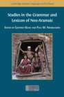 Image for Studies in the Grammar and Lexicon of Neo-Aramaic