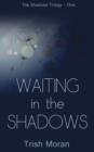 Image for Waiting in the Shadows