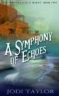 Image for A symphony of echoes